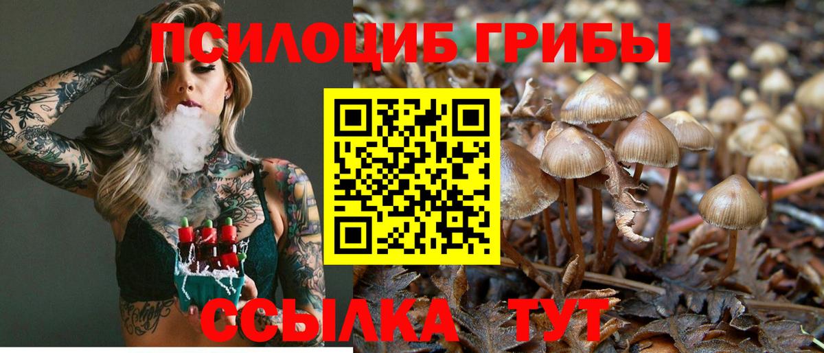 Псилоцибиновые грибы Cubensis  Псилоцибиновые грибы ЛСД  Вход с VPN  цены наркотик  Изобильный 